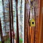 Bed & Breakfast Ca' Del Pitur Cicogna