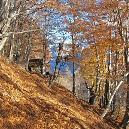 Ca' Del Pitur * Cicogna