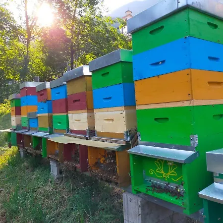 ベッド・アンド・ブレックファスト Ca' Del Pitur *